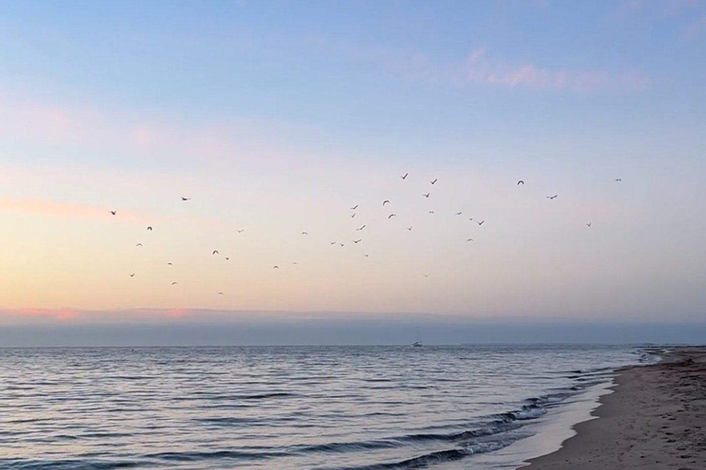 Der Strand von Dahme mit auslaufender Brandung und Möwen über dem Wasser