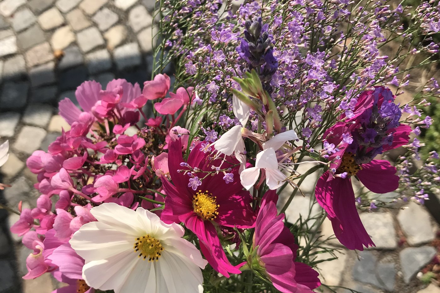 Ein Strauß aus Cosmeen, Hortensien und Lavendel aus dem Garten